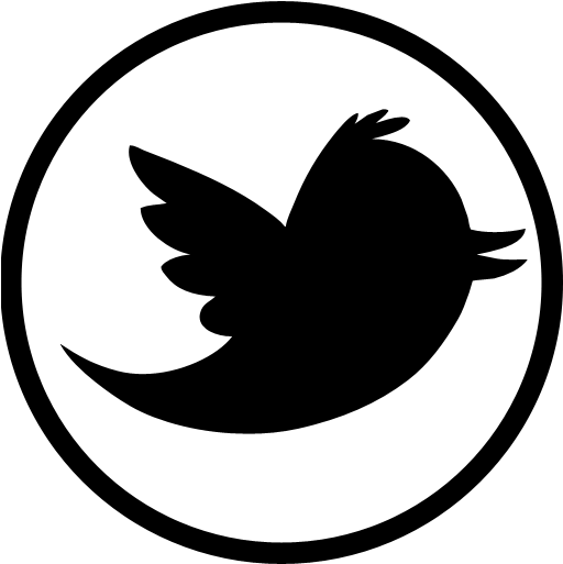 Icono de twitter